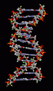 Your personal DNA could affect your sleep patterns.